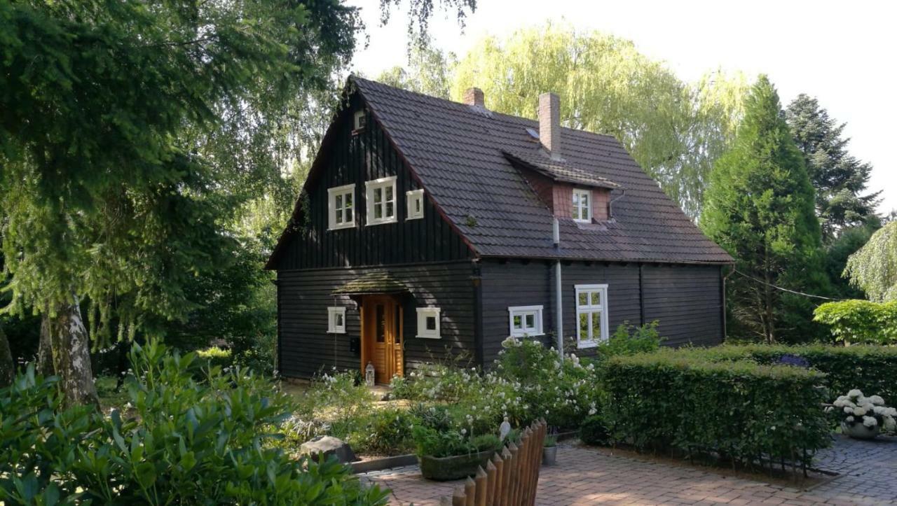 "Haus Am Knobben" Villa Uslar Exterior foto