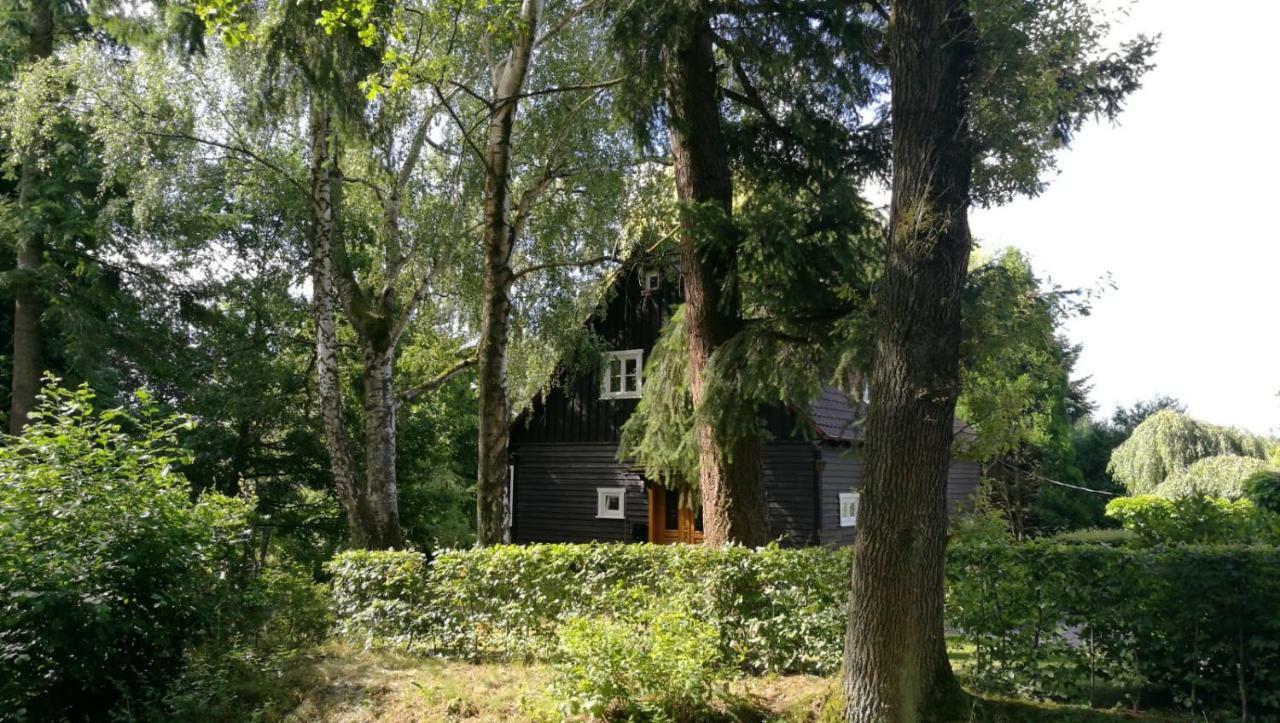 "Haus Am Knobben" Villa Uslar Exterior foto