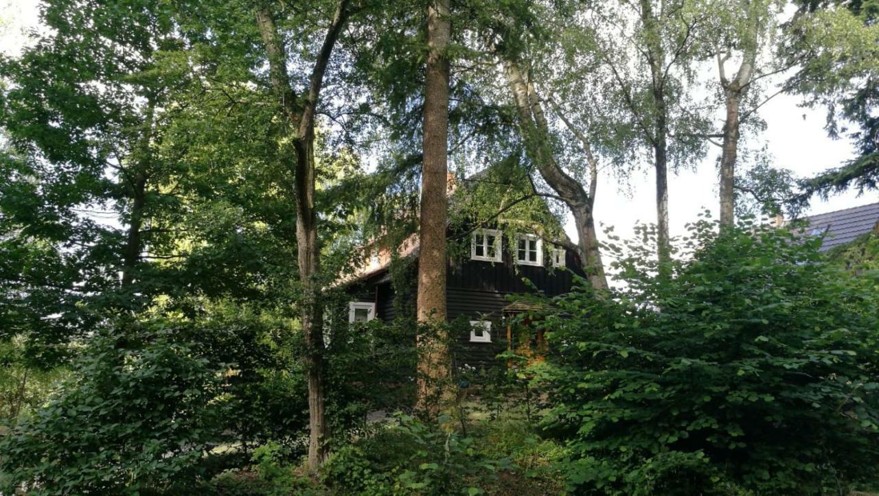 "Haus Am Knobben" Villa Uslar Exterior foto