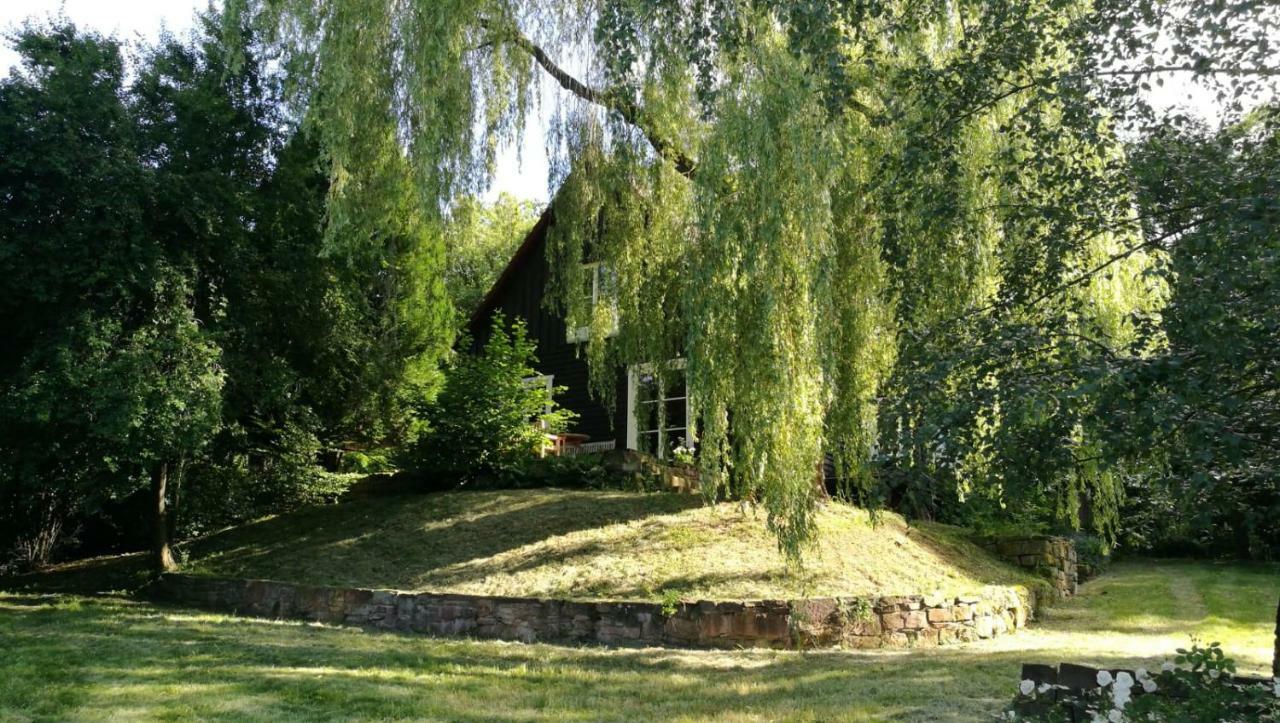 "Haus Am Knobben" Villa Uslar Exterior foto